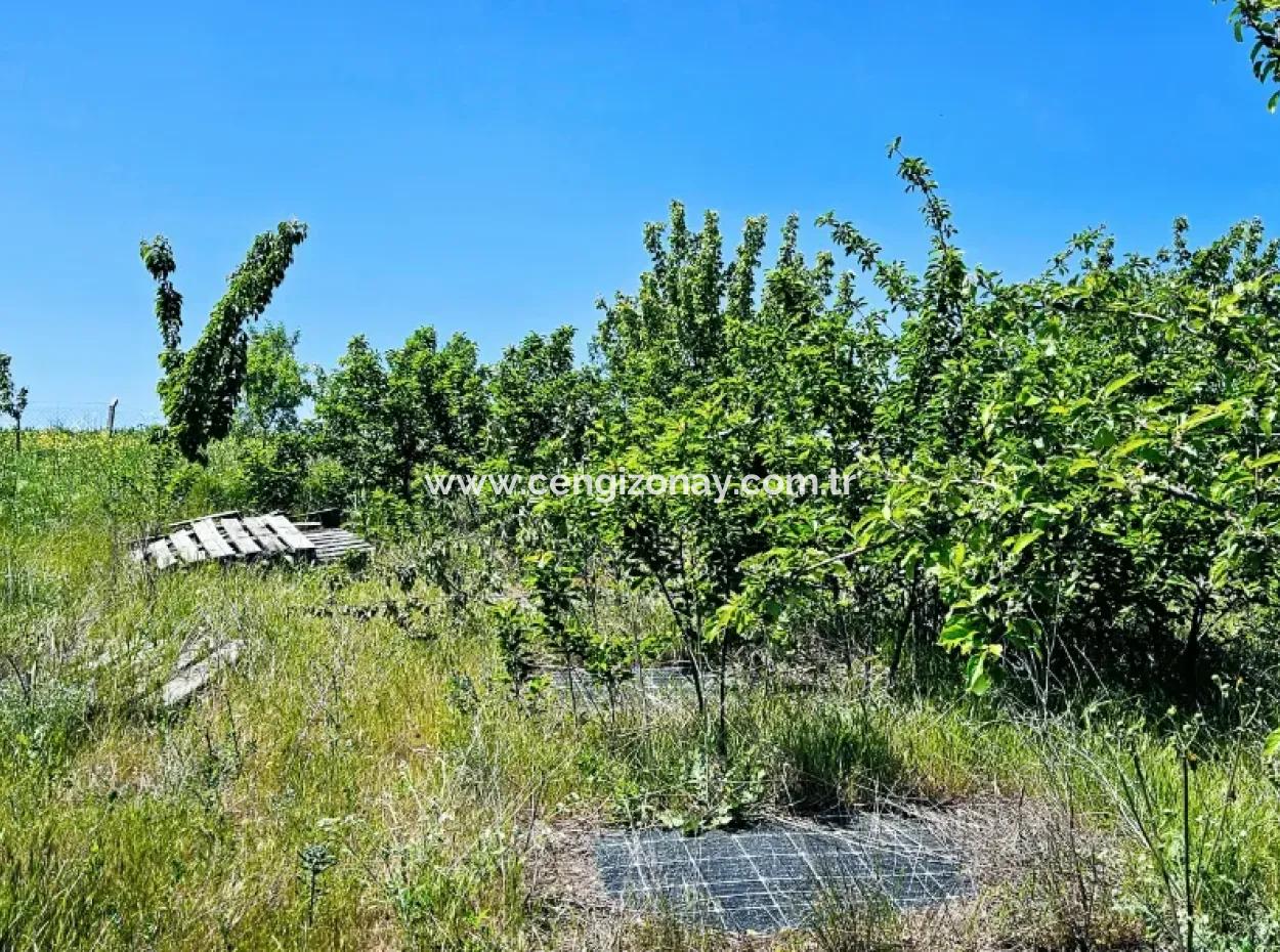 A Great Opportunity To Build Your Farm In Your Family For Urgent Sale 2,600 Acres Of Pasture Front