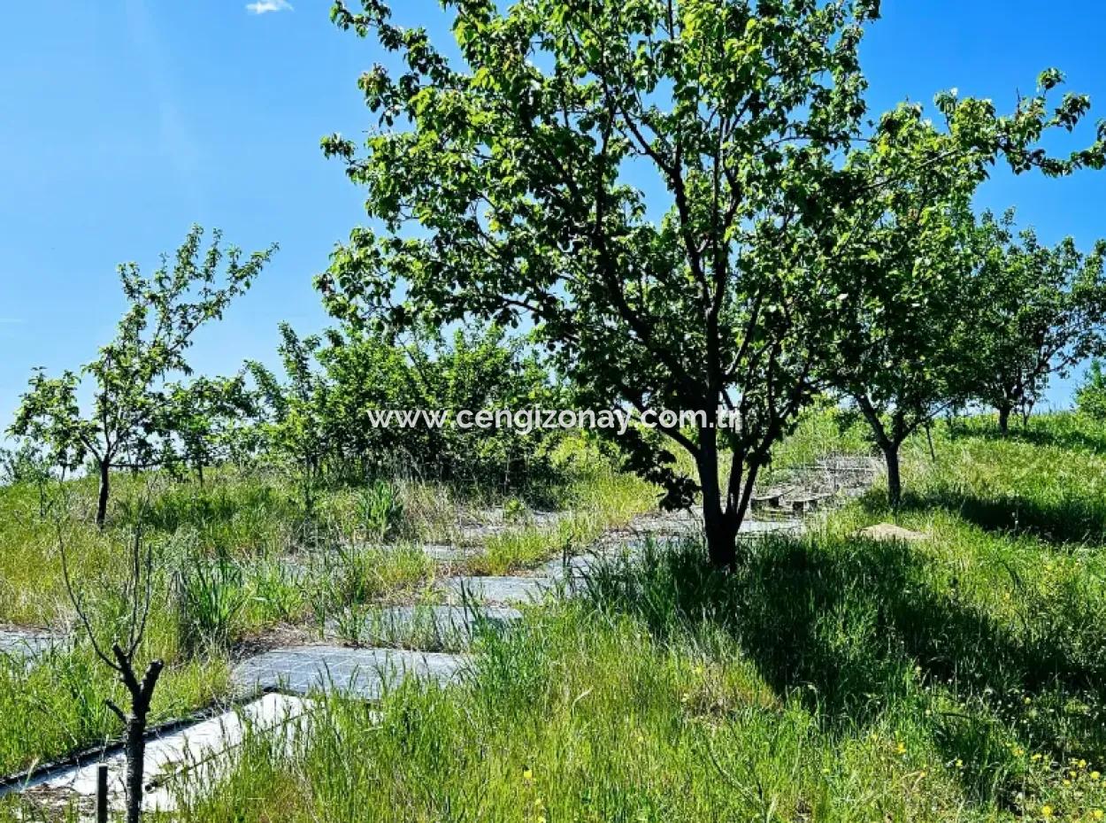 A Great Opportunity To Build Your Farm In Your Family For Urgent Sale 2,600 Acres Of Pasture Front