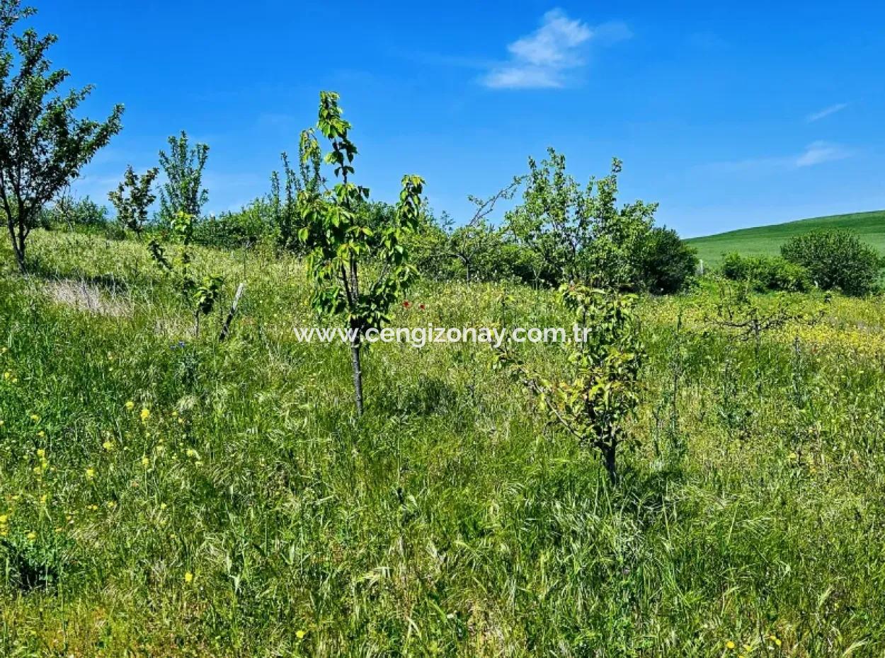 A Great Opportunity To Build Your Farm In Your Family For Urgent Sale 2,600 Acres Of Pasture Front