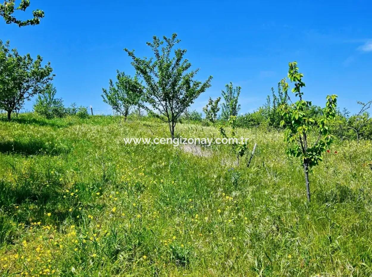 A Great Opportunity To Build Your Farm In Your Family For Urgent Sale 2,600 Acres Of Pasture Front