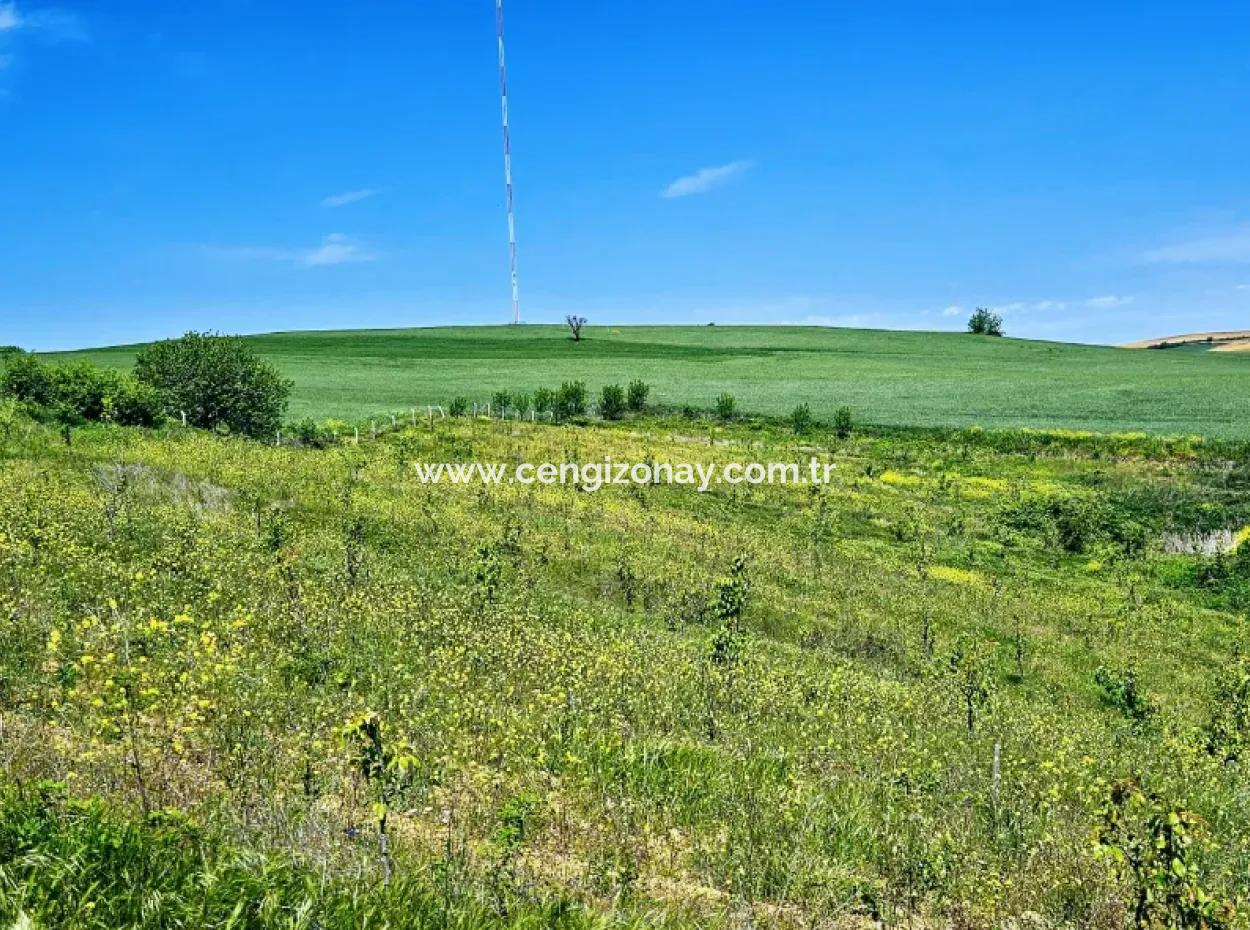 A Great Opportunity To Build Your Farm In Your Family For Urgent Sale 2,600 Acres Of Pasture Front