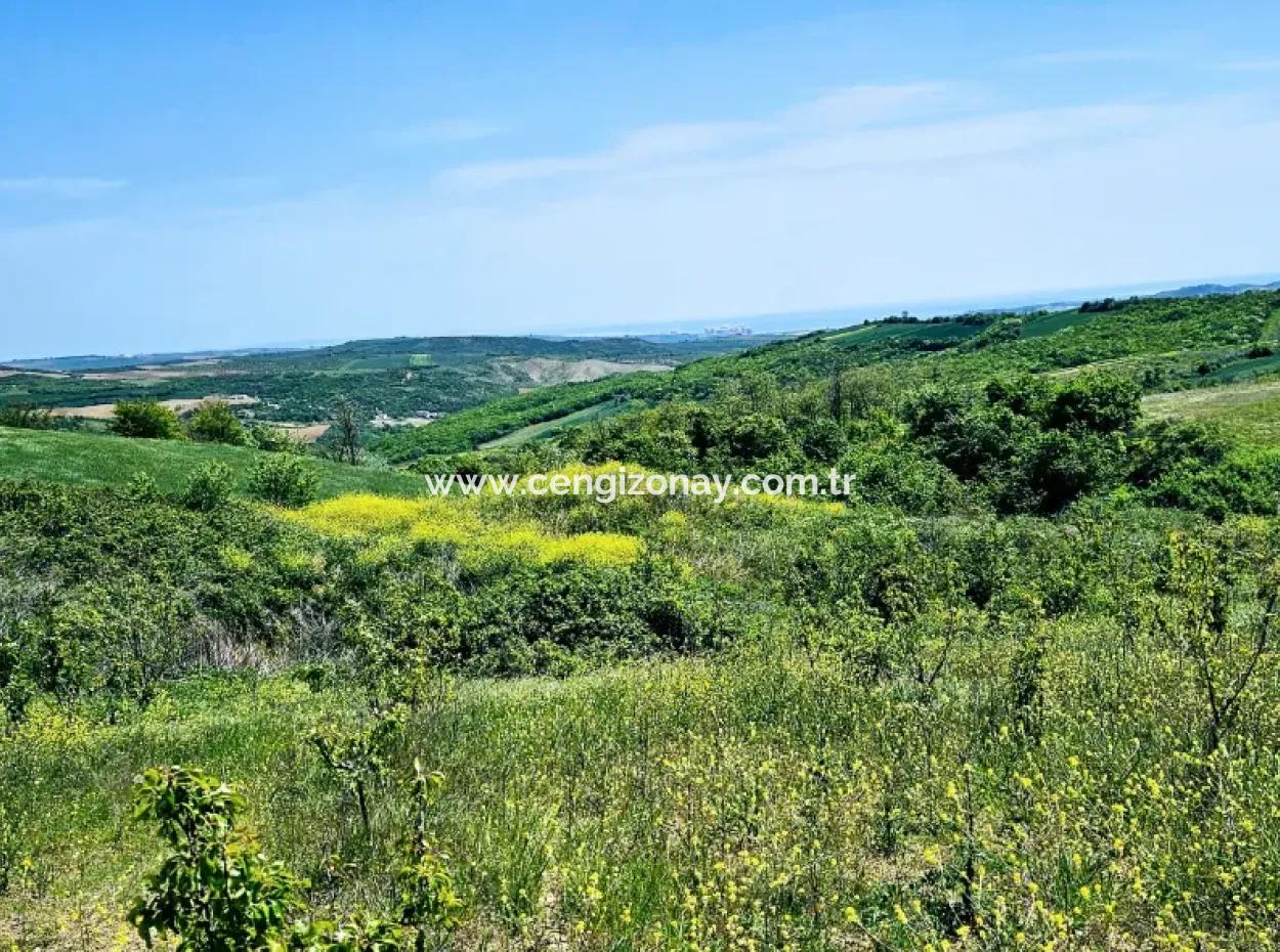 A Great Opportunity To Build Your Farm In Your Family For Urgent Sale 2,600 Acres Of Pasture Front