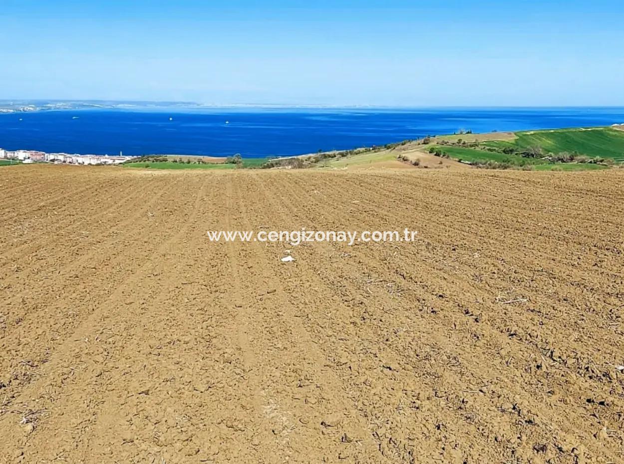 Tekirdag Barbarosta Luxury Villa Project Yap. Give A Flat To The Contractors And Make A High Profit Villa With Full Sea View Zoned Land