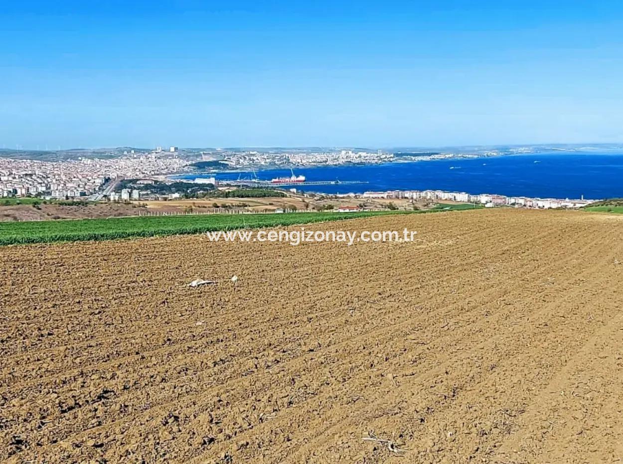 Tekirdag Barbarosta Luxury Villa Project Yap. Give A Flat To The Contractors And Make A High Profit Villa With Full Sea View Zoned Land