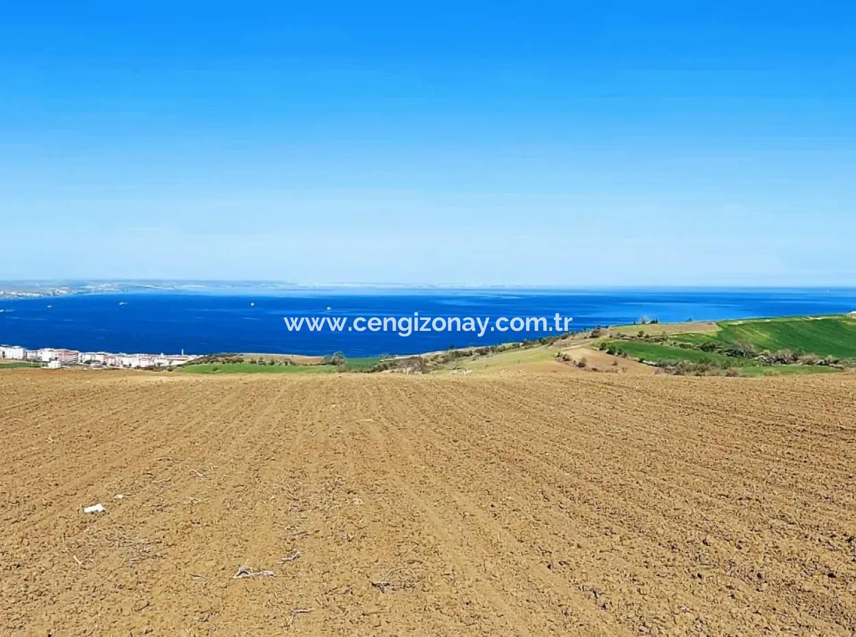 Tekirdag Barbarosta Luxury Villa Project Yap. Give A Flat To The Contractors And Make A High Profit Villa With Full Sea View Zoned Land