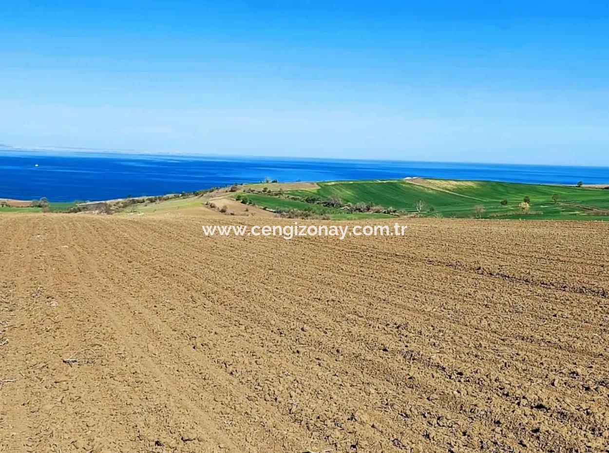 Tekirdag Barbarosta Luxury Villa Project Yap. Give A Flat To The Contractors And Make A High Profit Villa With Full Sea View Zoned Land