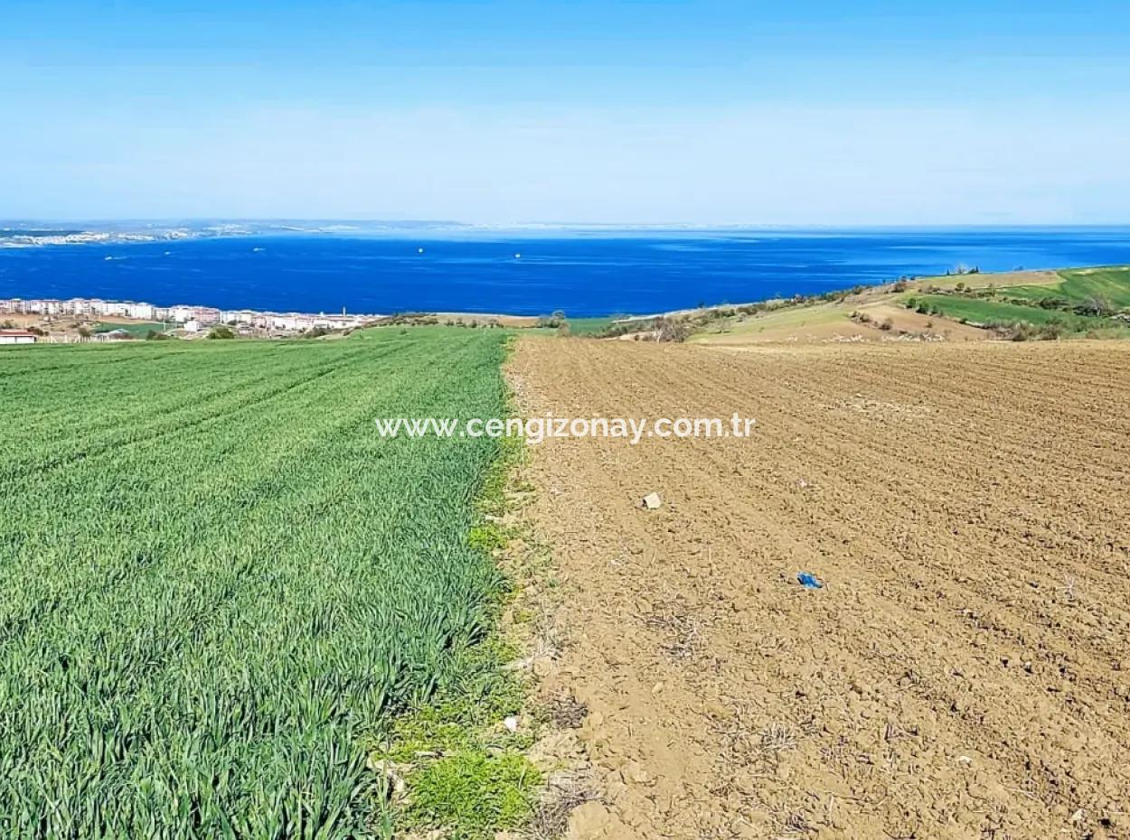 Tekirdag Barbarosta Luxury Villa Project Yap. Give A Flat To The Contractors And Make A High Profit Villa With Full Sea View Zoned Land