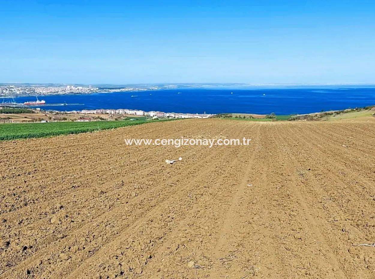 Tekirdag Barbarosta Luxury Villa Project Yap. Give A Flat To The Contractors And Make A High Profit Villa With Full Sea View Zoned Land