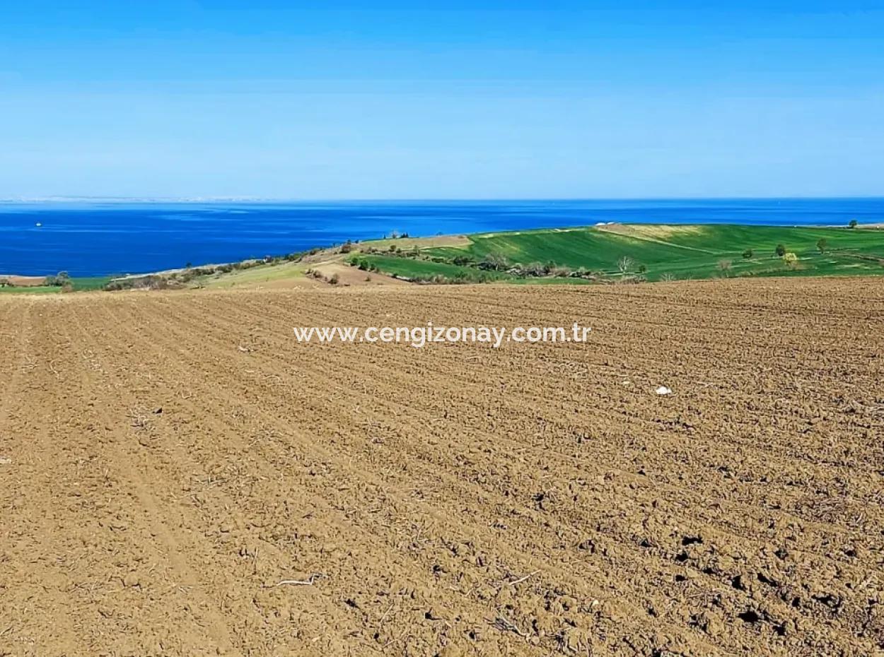 Tekirdag Barbarosta Luxury Villa Project Yap. Give A Flat To The Contractors And Make A High Profit Villa With Full Sea View Zoned Land