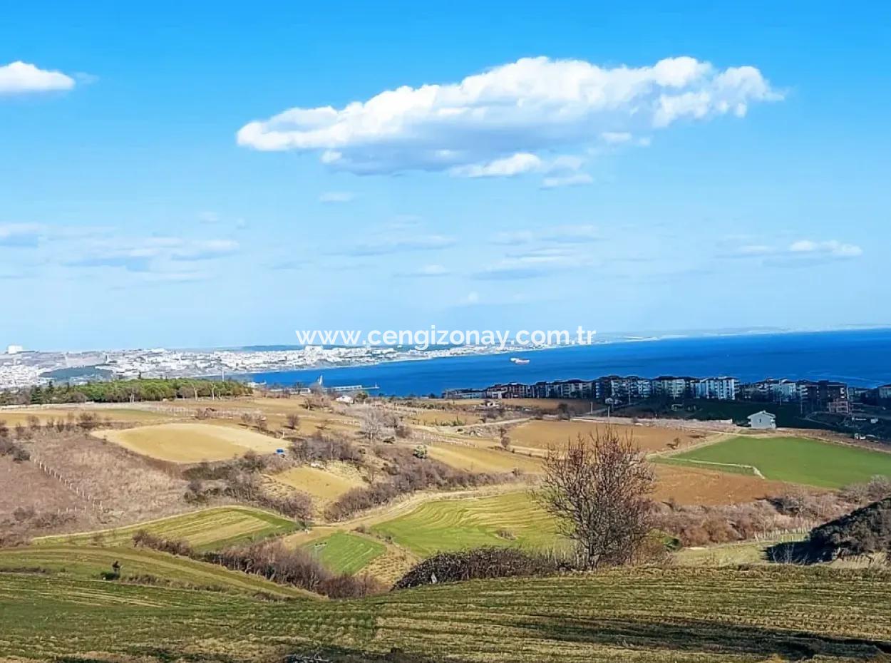 1,150 Sqm Plot Close To Ramada Hotel In Tekirdag Suleymanpasa Barbaros - Topagac