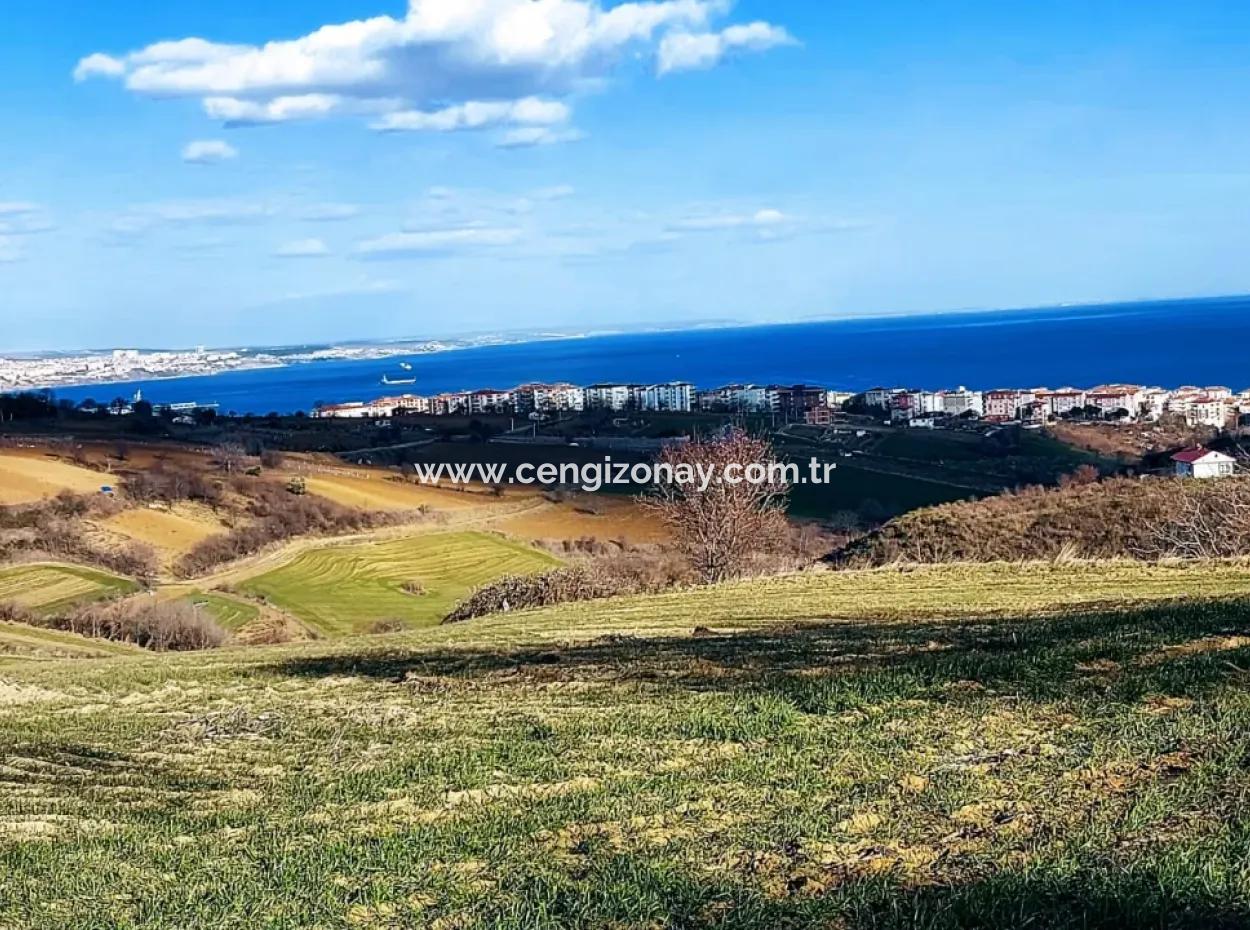1,150 Sqm Plot Close To Ramada Hotel In Tekirdag Suleymanpasa Barbaros - Topagac