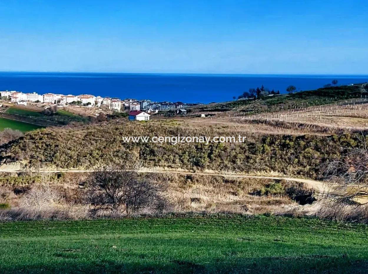 1,150 Sqm Plot Close To Ramada Hotel In Tekirdag Suleymanpasa Barbaros - Topagac