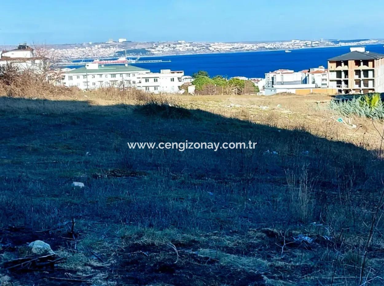 55 Flats Of Opportunity Coupon Land With 9 Floors Zoning In Tekirdag Topağaç Neighborhood