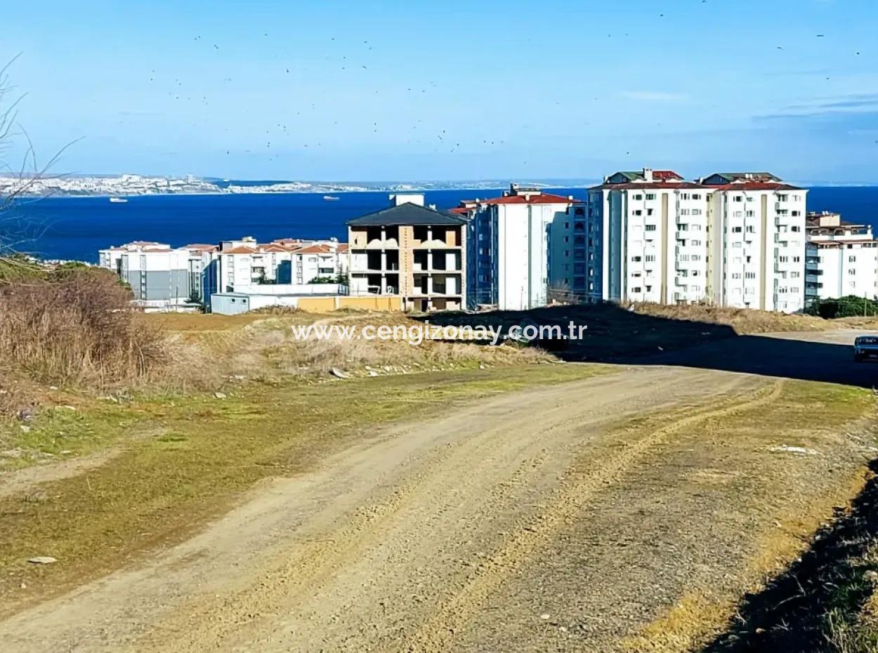 55 Flats Of Opportunity Coupon Land With 9 Floors Zoning In Tekirdag Topağaç Neighborhood