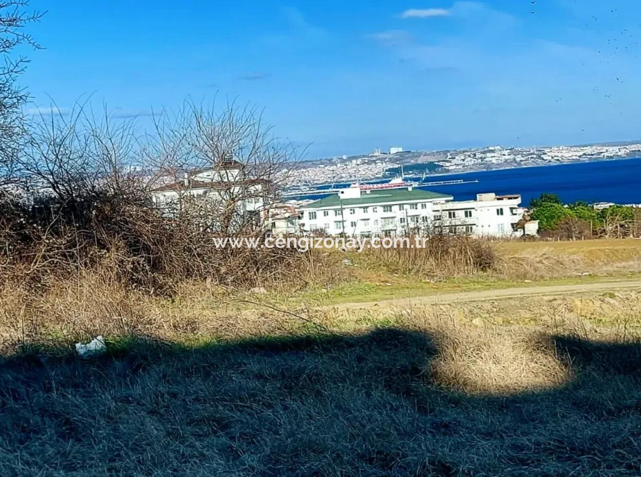 55 Flats Of Opportunity Coupon Land With 9 Floors Zoning In Tekirdag Topağaç Neighborhood