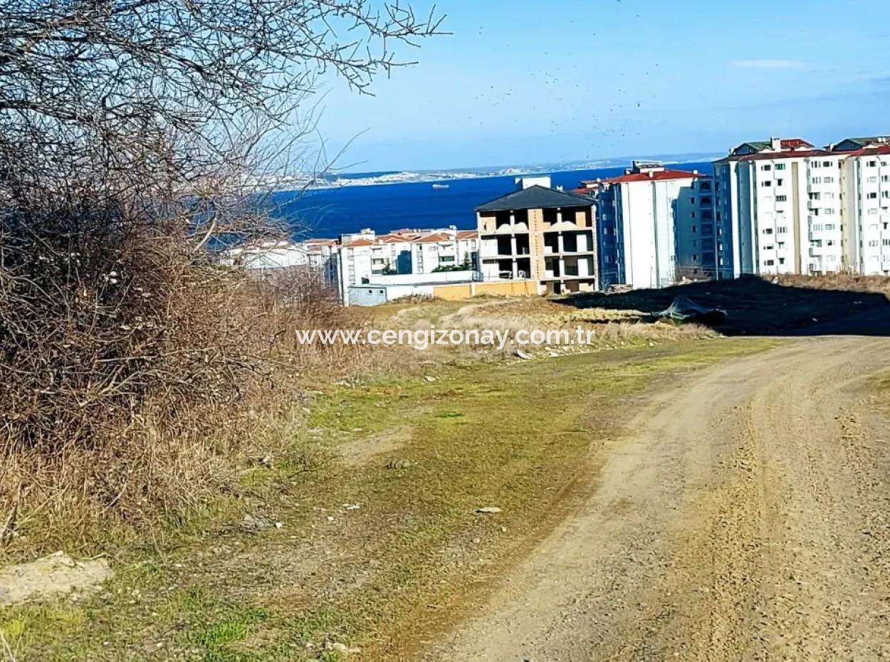 55 Flats Of Opportunity Coupon Land With 9 Floors Zoning In Tekirdag Topağaç Neighborhood