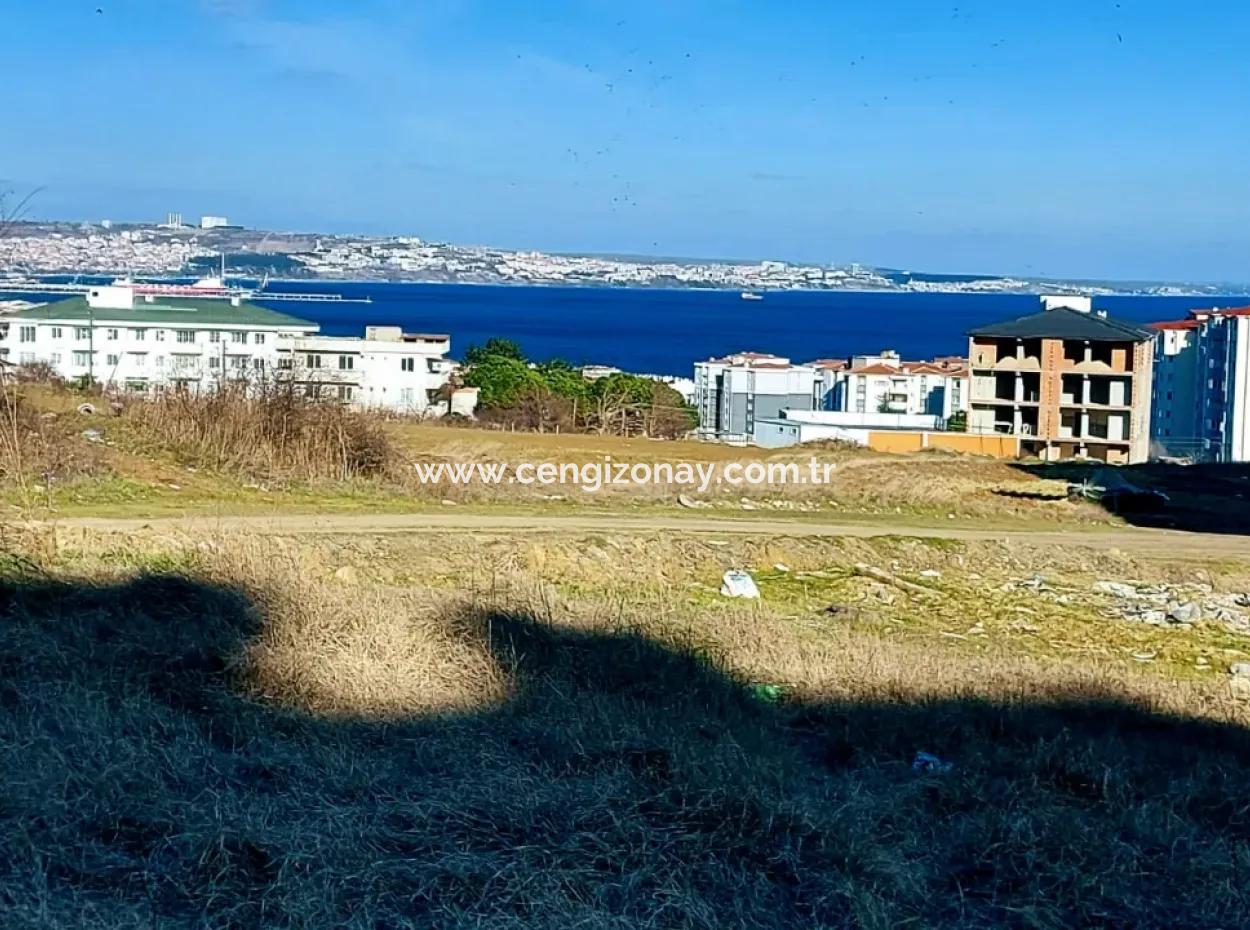 55 Flats Of Opportunity Coupon Land With 9 Floors Zoning In Tekirdag Topağaç Neighborhood