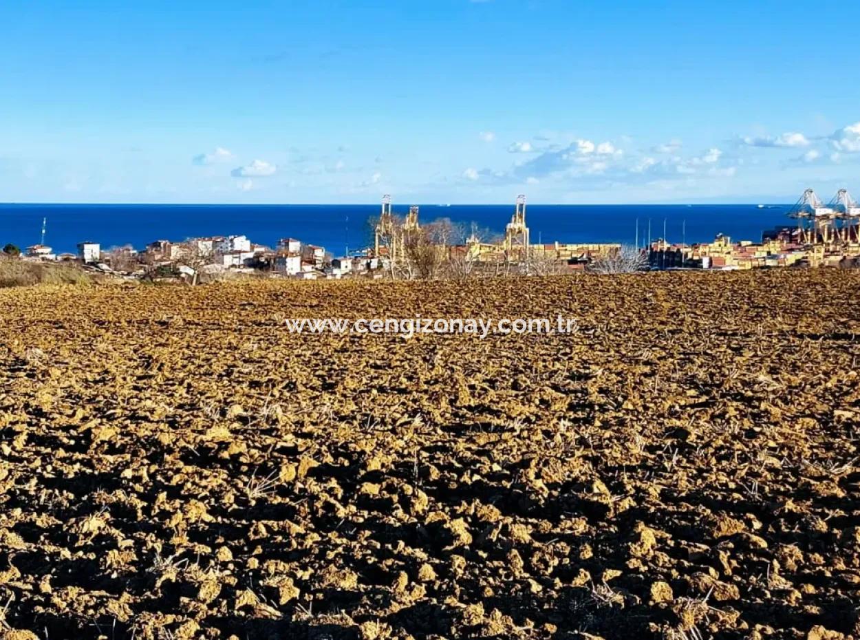 Unique 17.800 M2 Residential Zoned Land Located In Süleymanpaşa Barbaros Area Of Tekirdağ