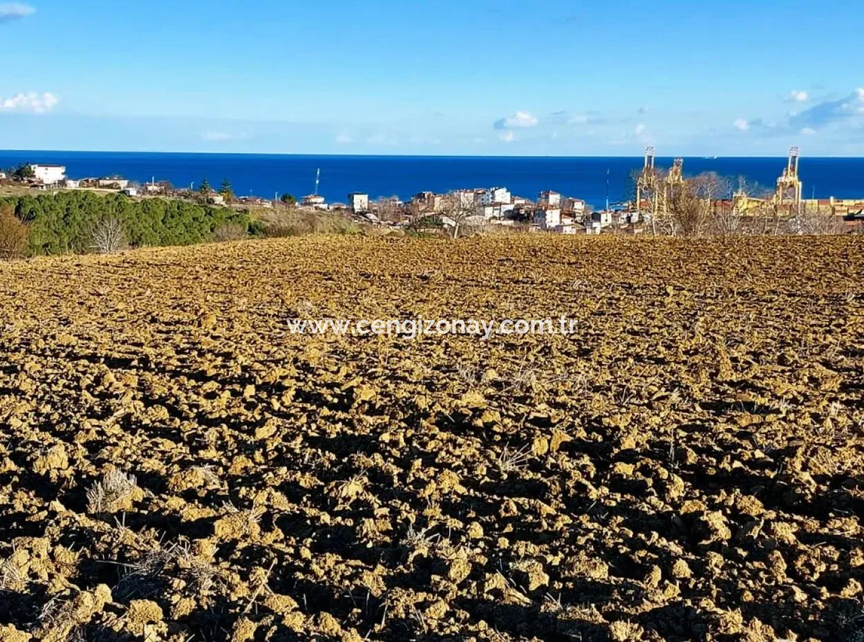 Unique 17.800 M2 Residential Zoned Land Located In Süleymanpaşa Barbaros Area Of Tekirdağ