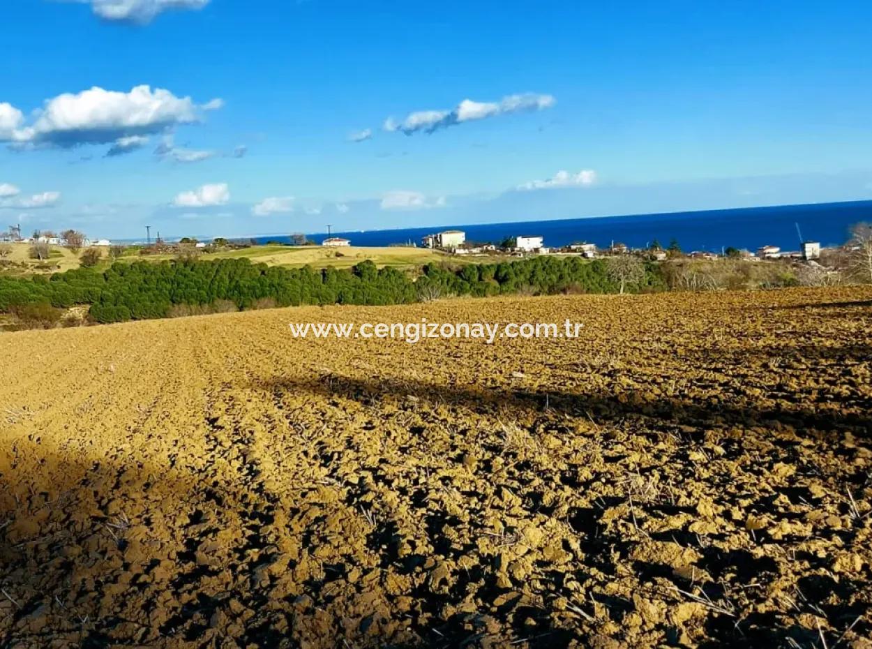 Unique 17.800 M2 Residential Zoned Land Located In Süleymanpaşa Barbaros Area Of Tekirdağ