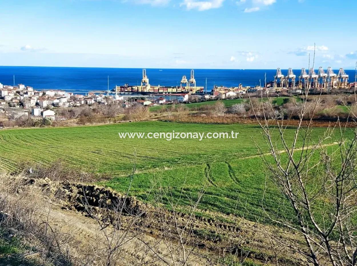 17 980 M2 Field For Sale Close To Tekirdag Barbaros Asyaport Port