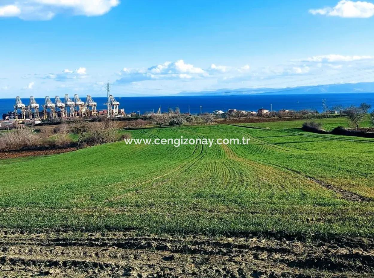 17 980 M2 Field For Sale Close To Tekirdag Barbaros Asyaport Port