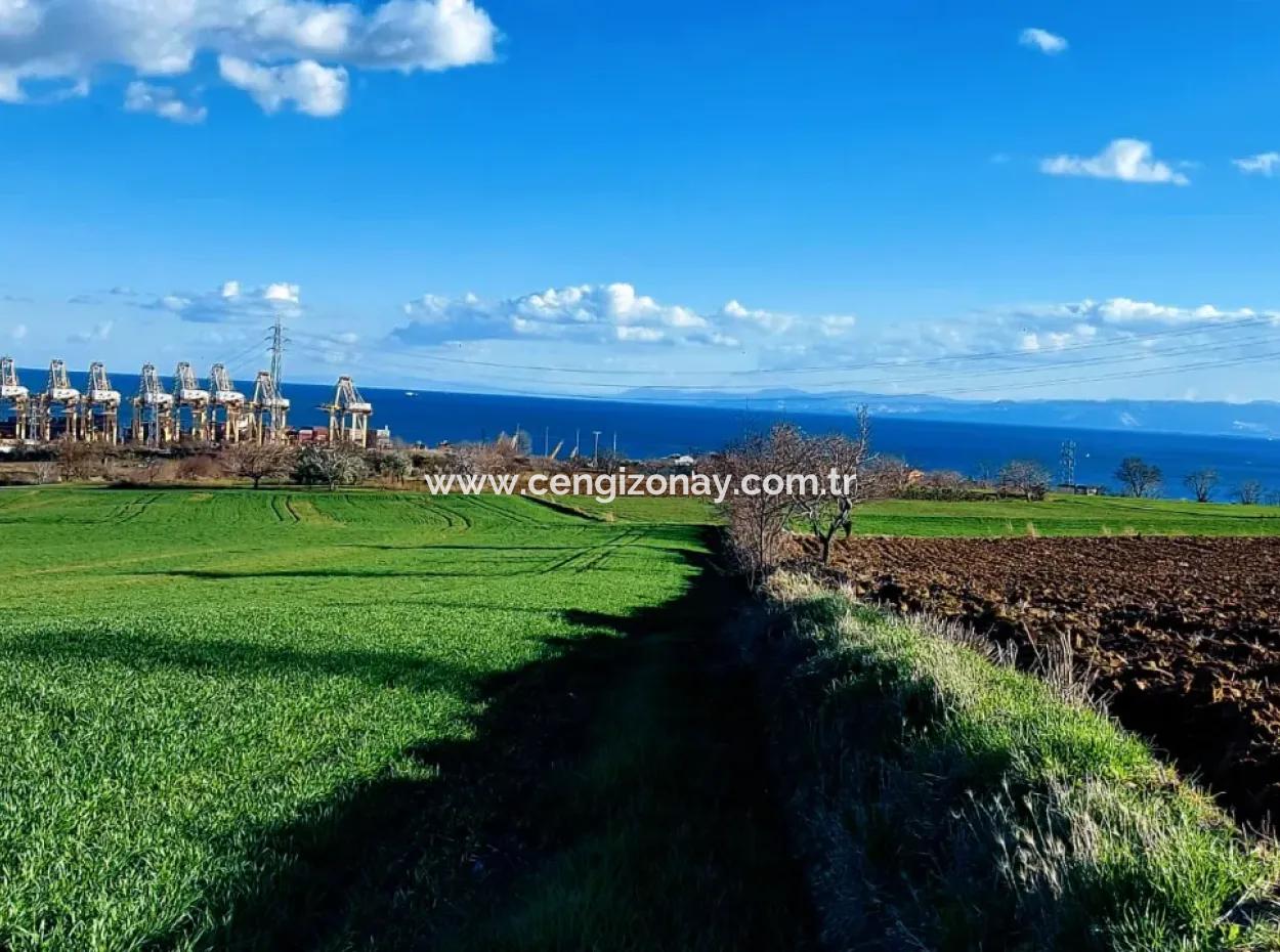 17 980 M2 Field For Sale Close To Tekirdag Barbaros Asyaport Port