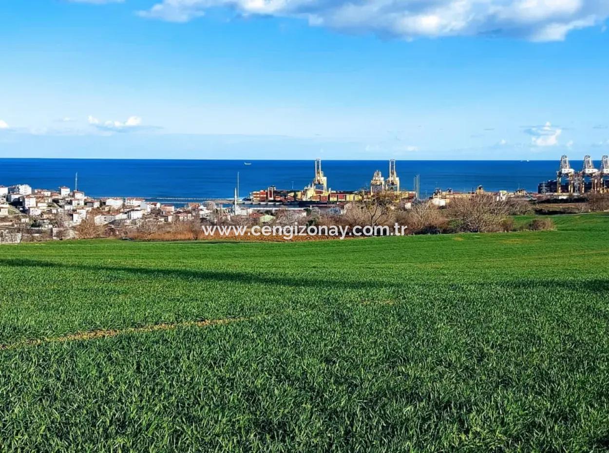 17 980 M2 Field For Sale Close To Tekirdag Barbaros Asyaport Port
