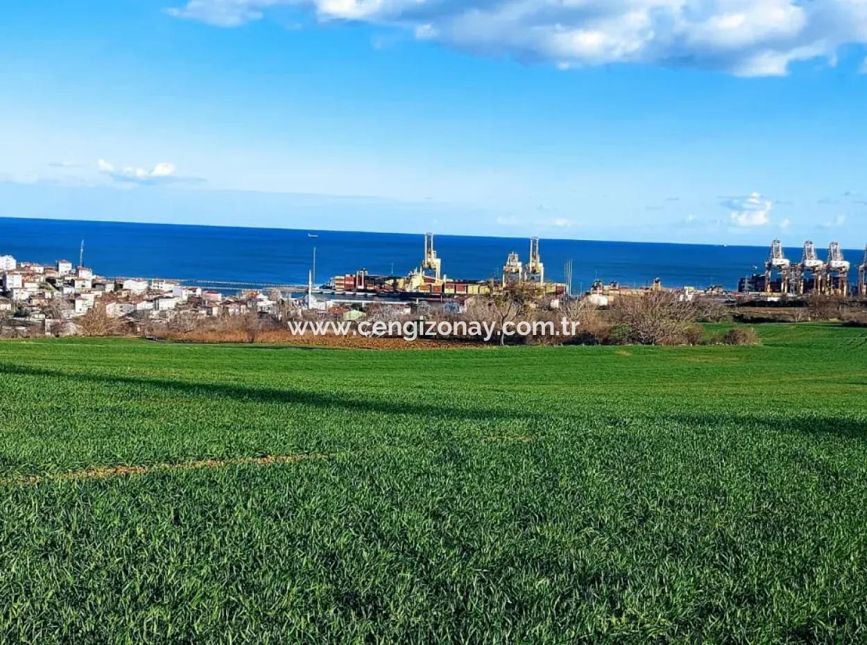 17 980 M2 Field For Sale Close To Tekirdag Barbaros Asyaport Port