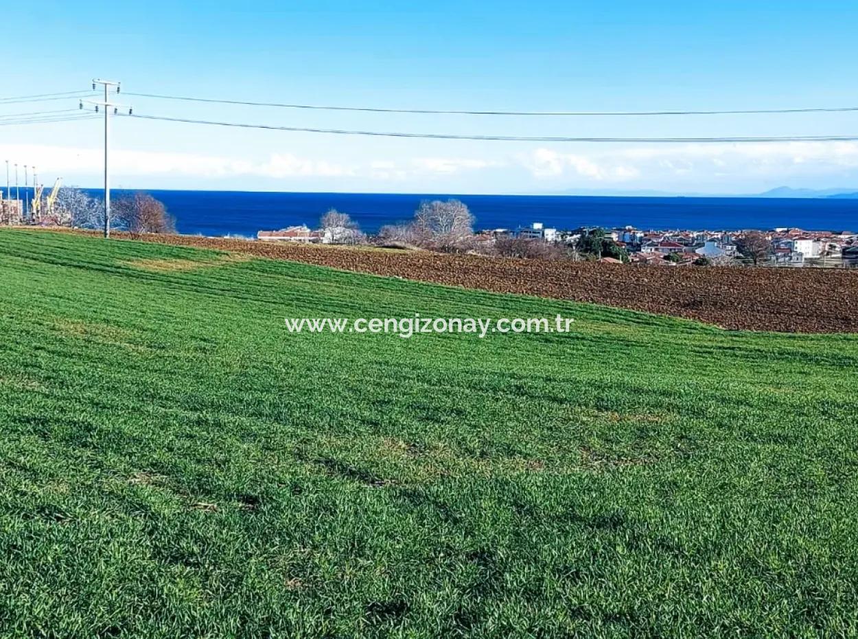 Located In Süleymanpaşa Barbaros, Tekirdag, This 11.100 M2 Residential Land Is Located In A Great Location.