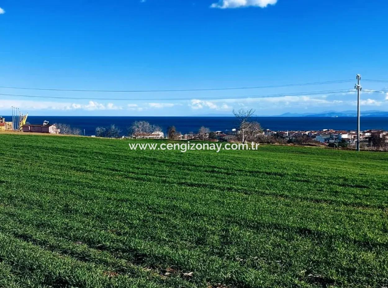 Located In Süleymanpaşa Barbaros, Tekirdag, This 11.100 M2 Residential Land Is Located In A Great Location.