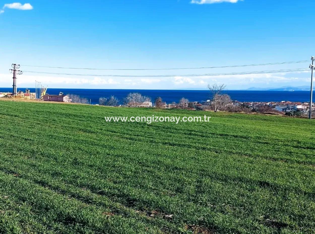 Located In Süleymanpaşa Barbaros, Tekirdag, This 11.100 M2 Residential Land Is Located In A Great Location.