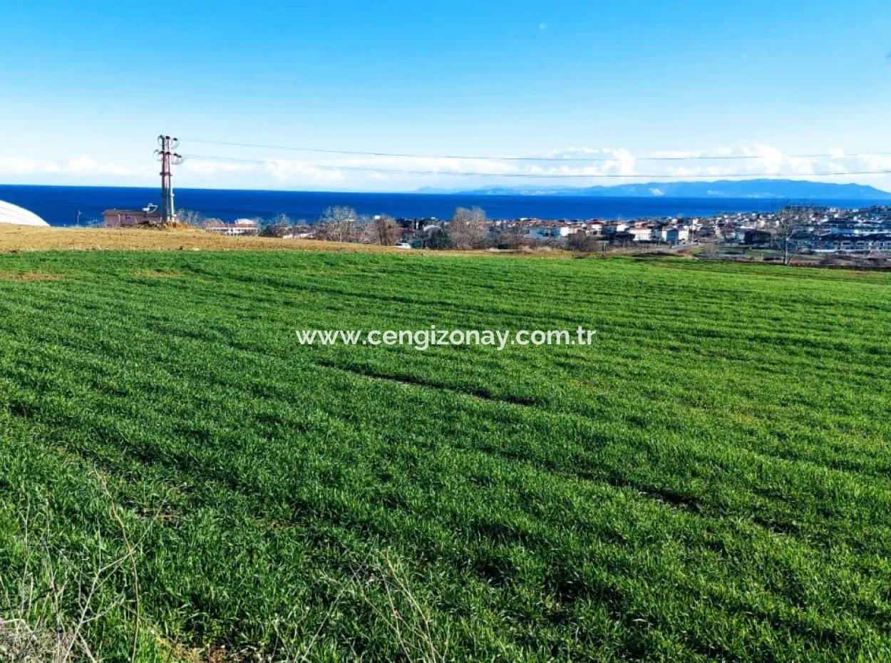 Located In Süleymanpaşa Barbaros, Tekirdag, This 11.100 M2 Residential Land Is Located In A Great Location.