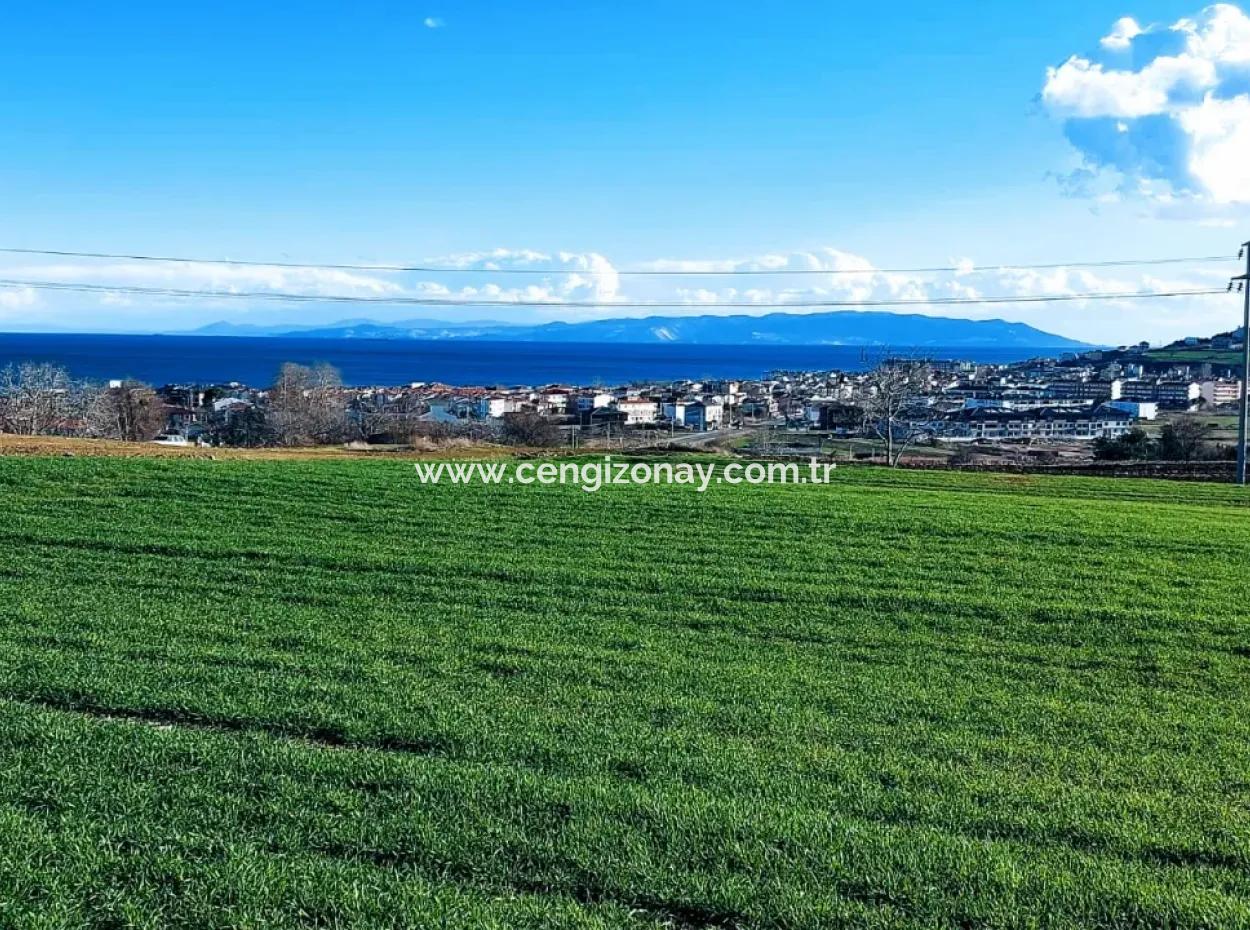 Located In Süleymanpaşa Barbaros, Tekirdag, This 11.100 M2 Residential Land Is Located In A Great Location.