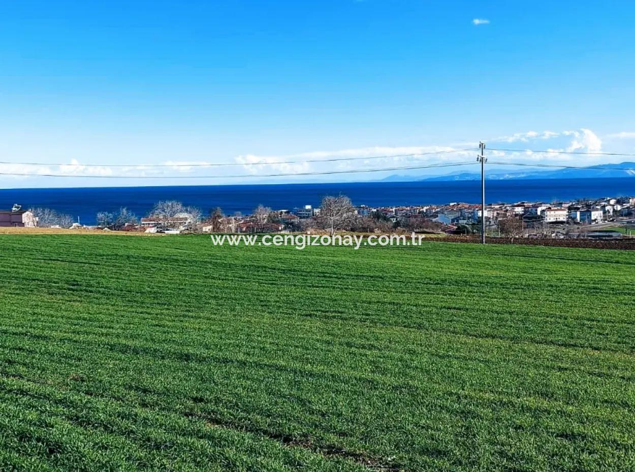 Located In Süleymanpaşa Barbaros, Tekirdag, This 11.100 M2 Residential Land Is Located In A Great Location.