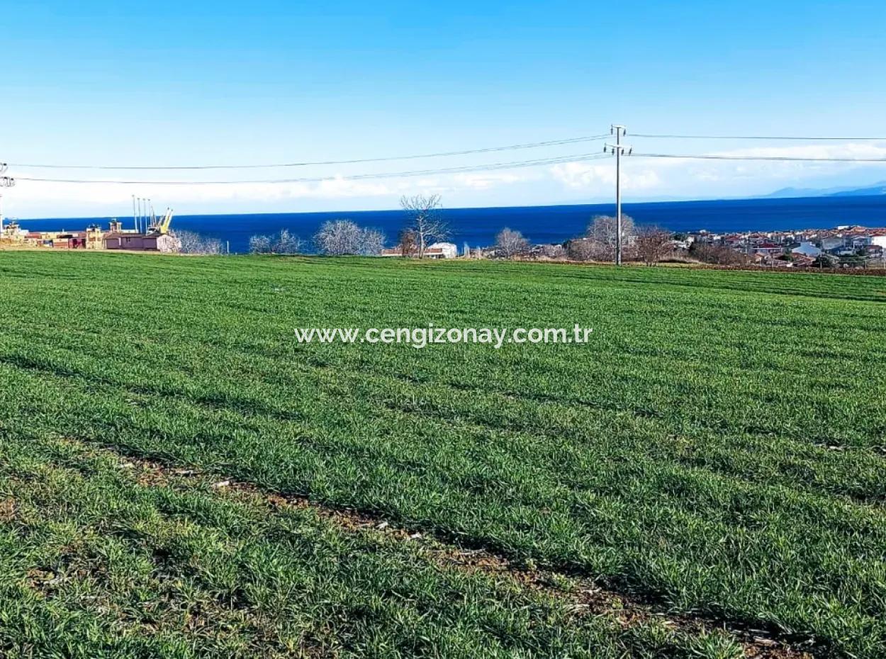 Located In Süleymanpaşa Barbaros, Tekirdag, This 11.100 M2 Residential Land Is Located In A Great Location.