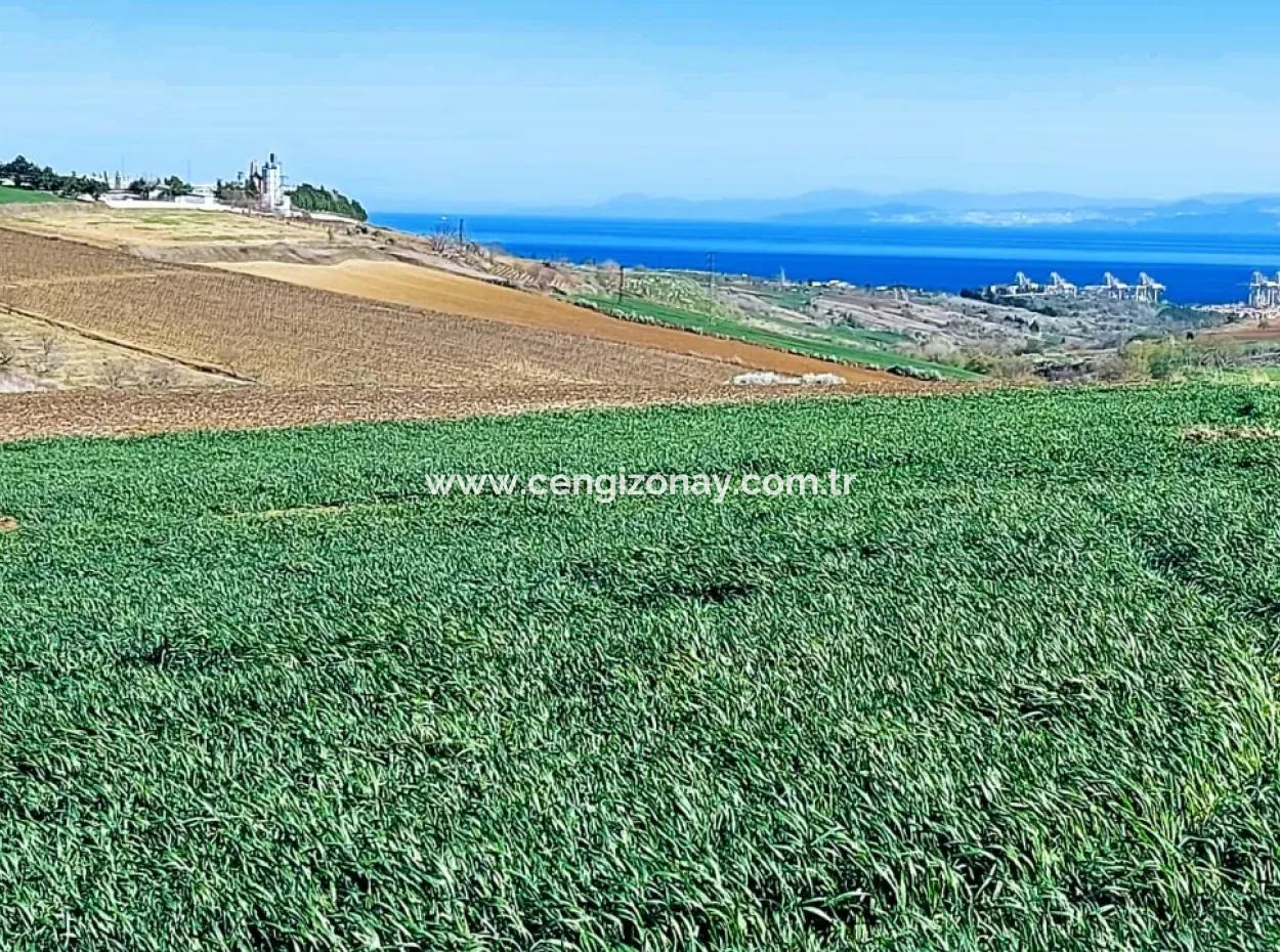 Land For Sale In 19,500 Square Meters Of Commercial And Industrial Area In Nusuratlı Area Of Tekirdağ
