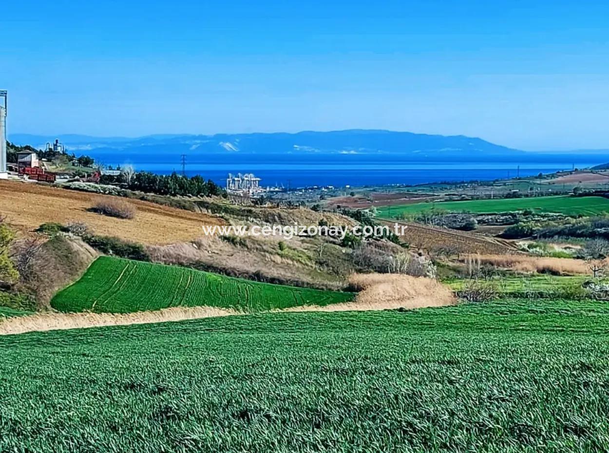 Land For Sale In 19,500 Square Meters Of Commercial And Industrial Area In Nusuratlı Area Of Tekirdağ