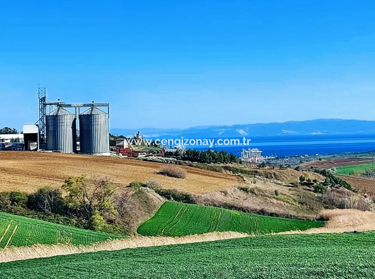 Land For Sale In 19,500 Square Meters Of Commercial And Industrial Area In Nusuratlı Area Of Tekirdağ