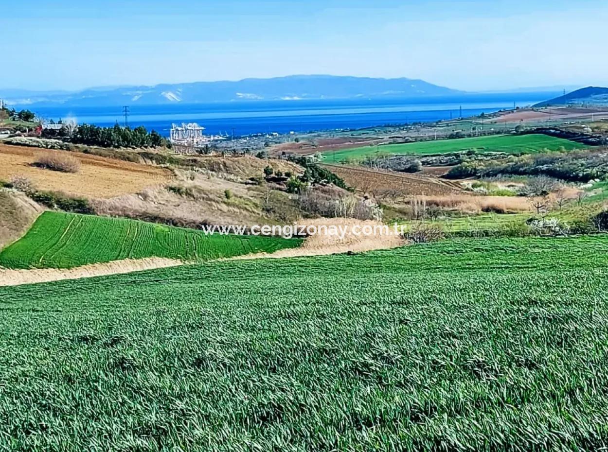 Land For Sale In 19,500 Square Meters Of Commercial And Industrial Area In Nusuratlı Area Of Tekirdağ