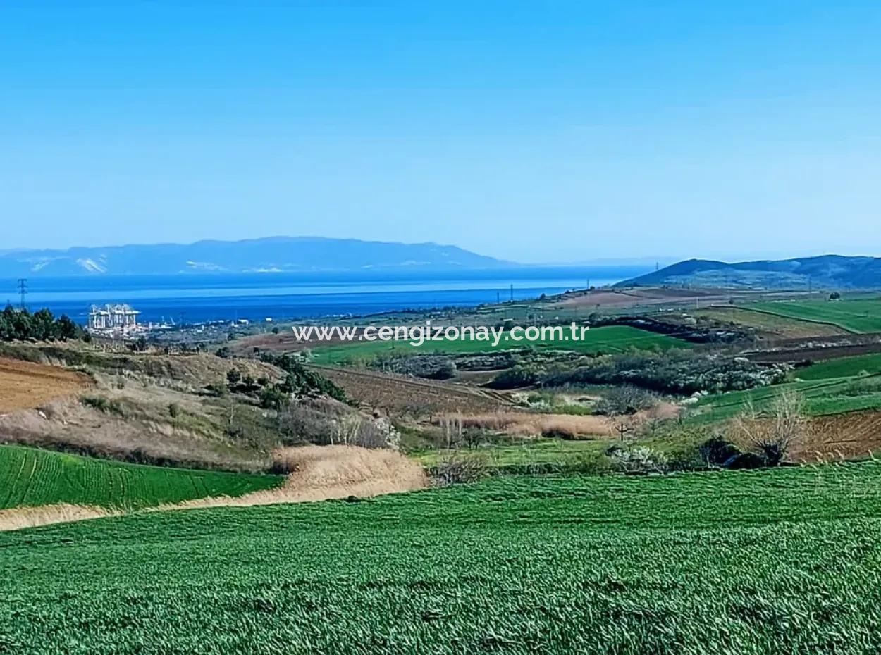 Land For Sale In 19,500 Square Meters Of Commercial And Industrial Area In Nusuratlı Area Of Tekirdağ
