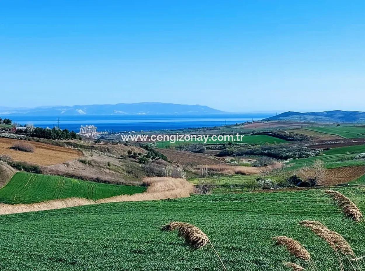 Land For Sale In 19,500 Square Meters Of Commercial And Industrial Area In Nusuratlı Area Of Tekirdağ