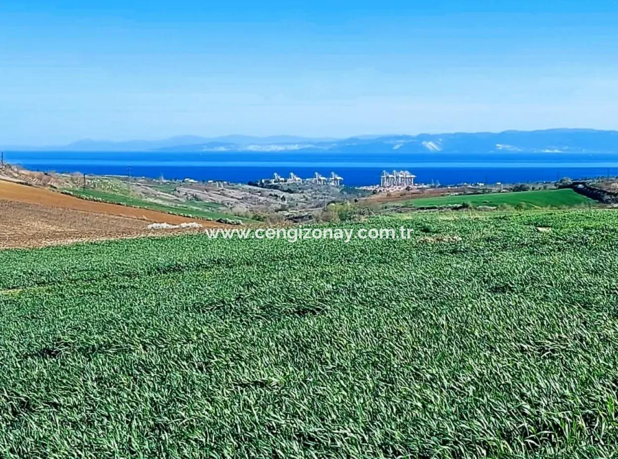 Land For Sale In 19,500 Square Meters Of Commercial And Industrial Area In Nusuratlı Area Of Tekirdağ
