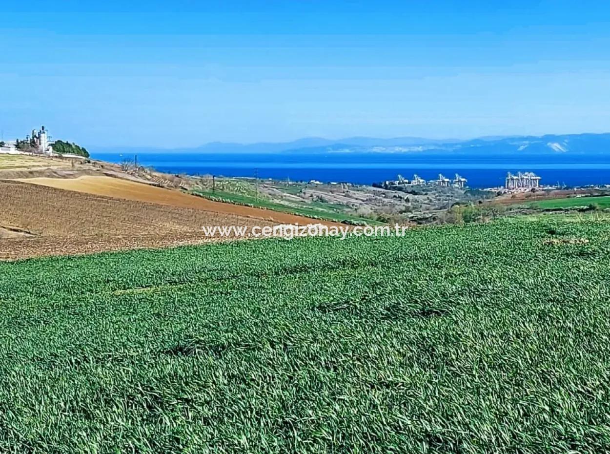Land For Sale In 19,500 Square Meters Of Commercial And Industrial Area In Nusuratlı Area Of Tekirdağ