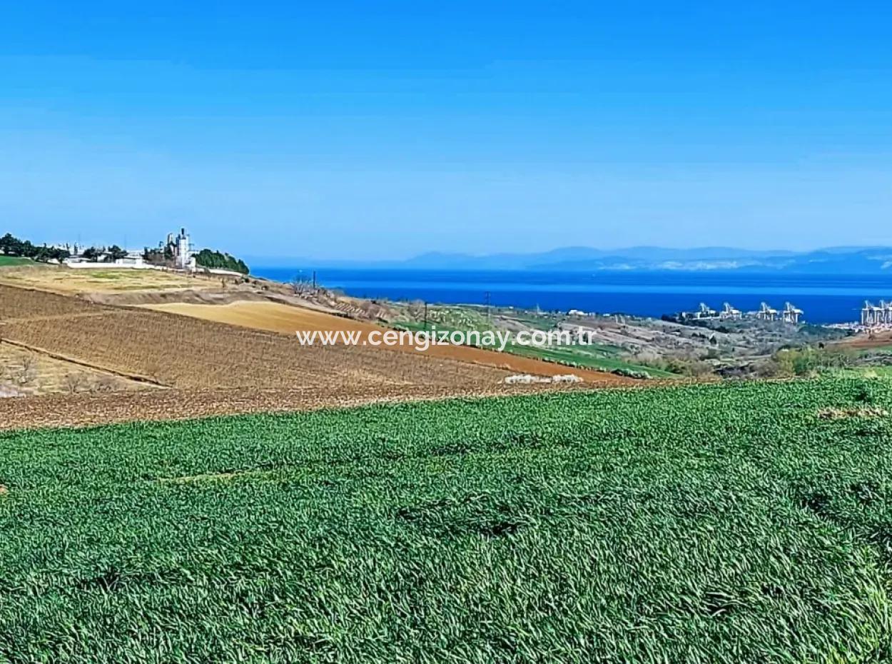 Land For Sale In 19,500 Square Meters Of Commercial And Industrial Area In Nusuratlı Area Of Tekirdağ