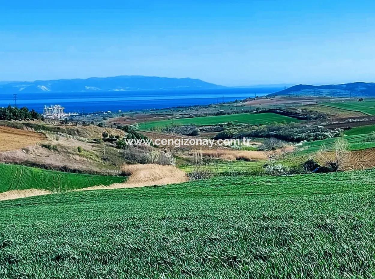 Land For Sale In 19,500 Square Meters Of Commercial And Industrial Area In Nusuratlı Area Of Tekirdağ