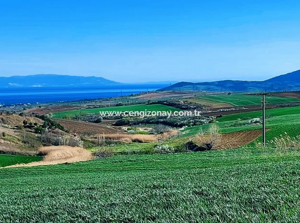 Land For Sale In 19,500 Square Meters Of Commercial And Industrial Area In Nusuratlı Area Of Tekirdağ