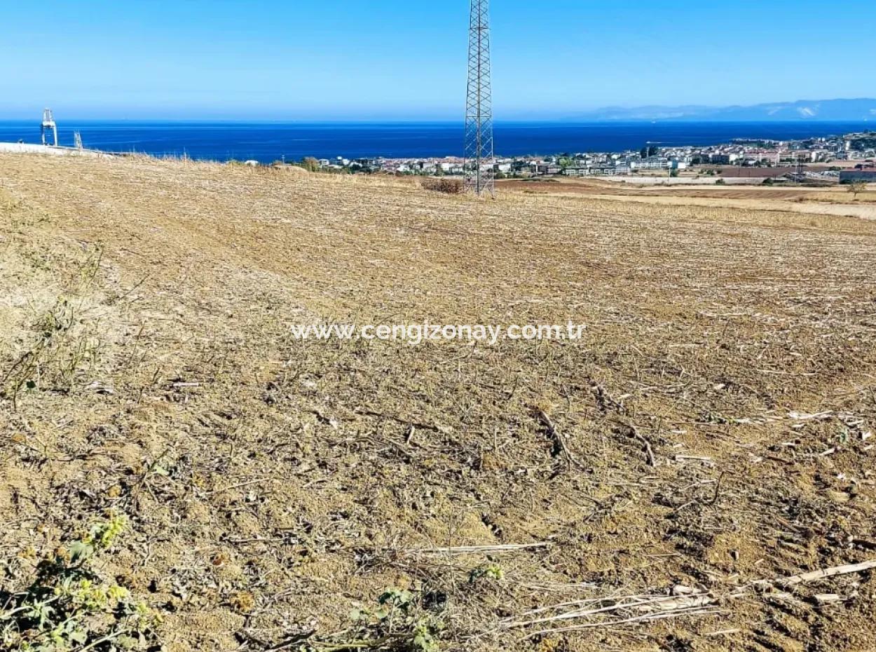 The 21,900 M2 Plot Located In Tekirdağ Barbaros Is Located Within The Current Zoning Plan Of Asyaport Port