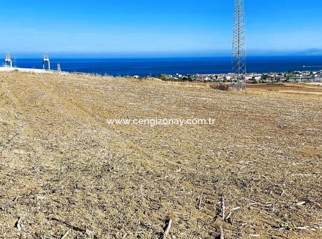 The 21,900 M2 Plot Located In Tekirdağ Barbaros Is Located Within The Current Zoning Plan Of Asyaport Port