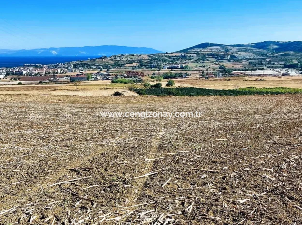 The 21,900 M2 Plot Located In Tekirdağ Barbaros Is Located Within The Current Zoning Plan Of Asyaport Port